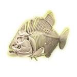 Archeologická sada Piranha1