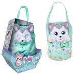 Baby Paws – Pes husky1