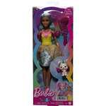 Barbie a Touch of Magic Teresa JCW511