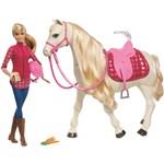 Mattel Barbie Kůň snů s panenkou2