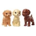 PANENKA BARBIE KOUPEL PEJSKŮ sada s panenkou a pejsky GDJ375