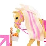 Barbie Rozkošný koník s doplňky2