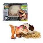Spin Master DINO Interaktywny T-Rex wykluwający się z jaja13