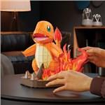 FDP POKÉMON CHARMANDER4