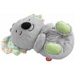 Fisher Price uklidňující koala s melodiemi2