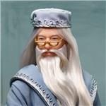 Harry Potter Design Collection – panenka Albus Brumbál 6
