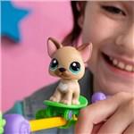 Hasbro Littlest Pet Shop Hrací sada Zvířátka mají talent Got Talent3