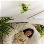 Hex Bost RC Gecko lezenie na stene5