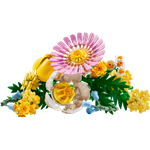 LEGO® Botanicals 10347 Drobná slnečná kytica1
