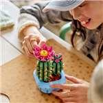 LEGO® Botanicals 11509 Kvetoucí kaktus8