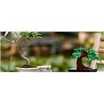 Lego Icons 10281 Bonsai5