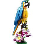 LEGO Creator 3 v 1 31136 Exotický papoušek2
