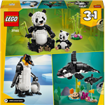 LEGO® Creator 3 v 1 31165 Divoké zvieratá: rodina pandy5