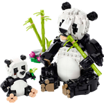 LEGO® Creator 3 v 1 31165 Divoké zvieratá: rodina pandy2
