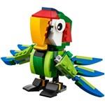 LEGO Creator 31031 - Zvířata z deštného pralesa 3 v 11