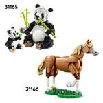 LEGO Creator Divoká zvířata: Tropický tukan 311737
