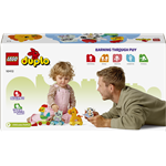 LEGO® DUPLO® 10412 Vláček se zvířátky3