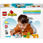 LEGO® DUPLO® 10442 Rodziny dzikich zwierząt: Pingwiny i lwy3