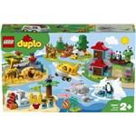 Lego Duplo 10907 Town Zvířata světa1