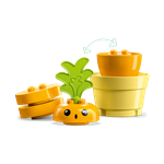 LEGO DUPLO 10981 Pěstování mrkve2