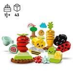 LEGO DUPLO® 10984 Bio zahrádka4