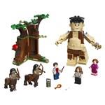 Lego Harry Potter  75967 Zapovězený les: Setkání Drápa a profesorky2