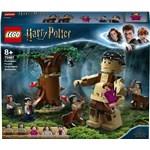 Lego Harry Potter  75967 Zapovězený les: Setkání Drápa a profesorky1
