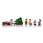Lego Icons 10325 Chata v Alpách4