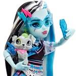 Mattel Monster High Frankie Stein Doll With Blue And Black Streaked Hair4