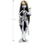 MATTEL Monster High Reel Drama panenka Cleo de Nile  27 cm1