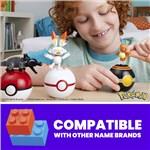 Mega Pokémon trenérský tým s ohnivým typem9