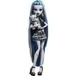 Panenka Monster High Frankie Stein Reel Drama 26 cm + doplňky HUMHKN292