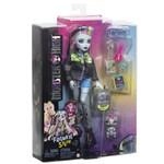 Monster High příšerka monsterka - Frankie9