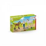 Schleich 42486 Návštěva lékaře u klisny a hříběte4