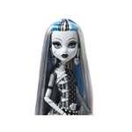 Panenka Monster High Frankie Stein Reel Drama 26 cm + doplňky HUMHKN297