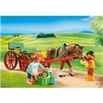 Playmobil 6932 Drožka2