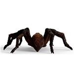 Schleich 13987 - Harry Potter Wizarding World Aragog4