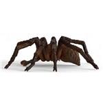 Schleich 13987 - Harry Potter Wizarding World Aragog6