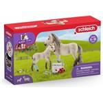 Schleich 42430 Set první pomoci pro islandské hříbě a klisna1