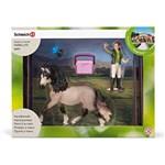 SCHLEICH Pečující sada Andalusský kůň 422701