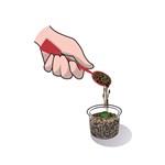 SCIENCE - Hydroponická botanika4