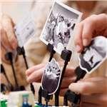 LEGO® 41838 Vzpomínky z cest8